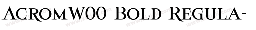 AcromW00 Bold Regula字体转换